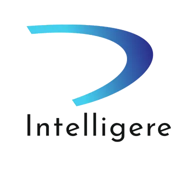 Intelligere: Automating Accounting, Saving Time, Ensuring Accuracy